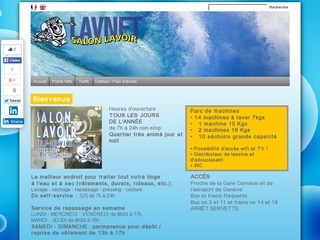 www.salonlavoirgeneve.ch alojamiento web YOORshop